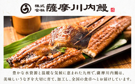 鰻 うなぎ 蒲焼き 4尾 (1尾約140g) タレ 山椒 付き 株式会社薩摩川内鰻《30日以内に出荷予定(土日祝除く)》鹿児島県 さつま町 送料無料 ウナギ 蒲焼 かば焼き 丑の日 うなぎ お取り寄せ グルメ