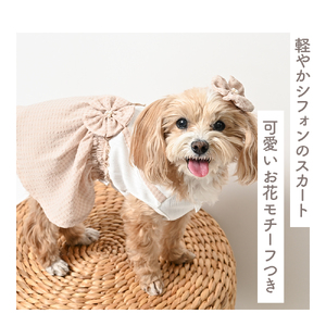 サッカーシフォンワンピース ベージュ おそろいヘアピンつき  ドッグウェア【ココアトワ(cocoAtoi)】 Ｓ