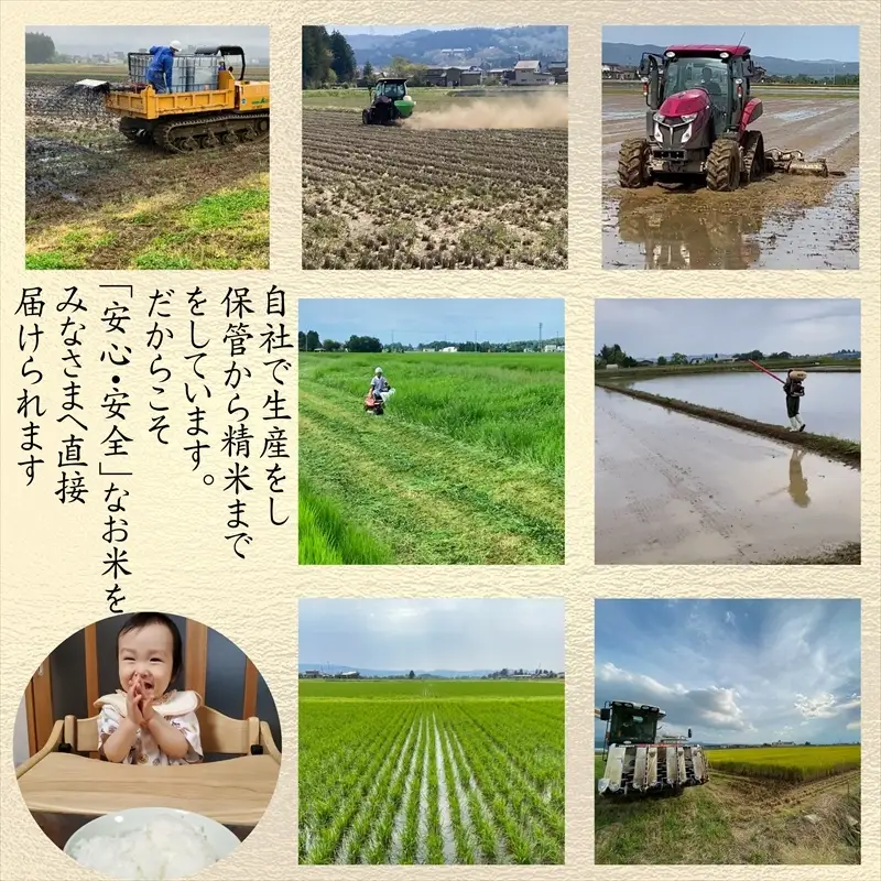 令和8年産 先行予約 【定期便】こしいぶき 新米 こしいぶき 30kg