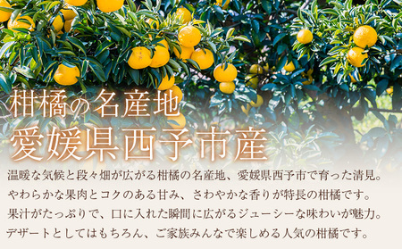 ＜訳あり 清見 (サイズ混合) 約5kg＞ 愛媛 蜜柑 ミカン みかん 果物 フルーツ 柑橘 国産 きよみ 訳アリ ご家庭用 愛媛県産 西予市産 西宇和 特産品 丸二青果 愛媛県 西予市【常温】『2026年3月中旬から順次出荷予定』MMY0019