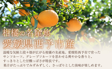 ＜秀品 サンフルーツ (L～3Lサイズ) 約10kg＞果汁 愛媛 蜜柑 ミカン みかん 果物 フルーツ 柑橘 国産 秀品 ギフト 贈答用 贈り物 贈物 プレゼント 愛媛県産 西予市産 西宇和 特産品 丸二青果 愛媛県 西予市【常温】『2026年3月上旬から順次出荷予定』MMY0025