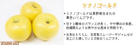 サンふじ ＆ ゴールド 2種類 詰め合わせ 家庭用 5kg ヤマウラ農園 沖縄県への配送不可 2026年11月中旬頃から2026年11月下旬頃まで順次発送予定 令和8年度収穫分 信州 果物 フルーツ リンゴ 林檎 長野 予約 農家直送 長野県 飯綱町 [1814]