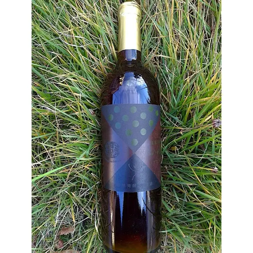 霧訪山シードル 塩尻市産ワイン4本飲み比べセット（メルロー／ピノ・グリ／コンコード／林檎（シードル））