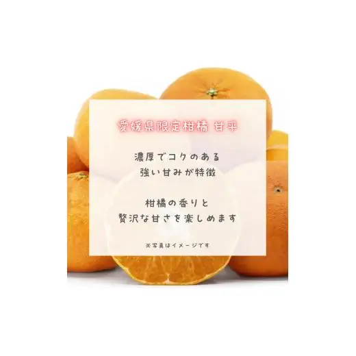 PURE DROP 甘平 1本