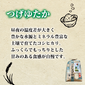 【定期便】コシヒカリ つげゆたか 5kg×6回　tge005