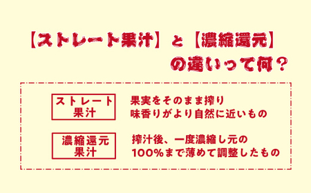 【 ストレートタイプ 】 りんごジュース 1000ml × 2本 ストレート果汁 100% 山岸ファーム 沖縄県への配送不可 飲料 果汁飲料 りんご リンゴ 林檎 ジュース 信州 農家直送 長野県 飯綱町 [2099]