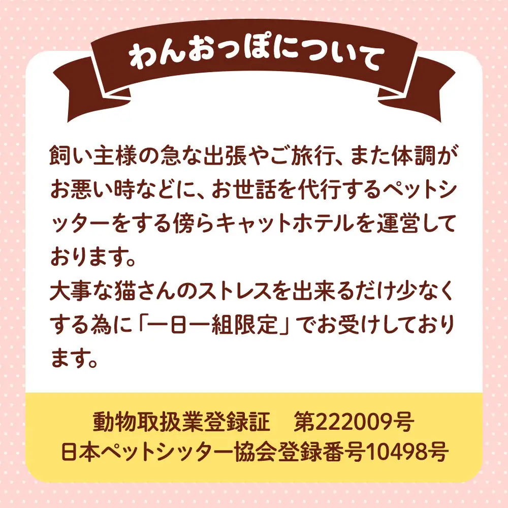 ペット ホテル【一日一組限定】キャットホテル 宿泊券 1泊 【レターパックライト】