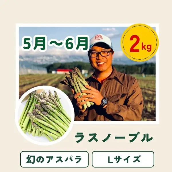 野菜セット 【令和9年産予約受付】 5回 定期便 美瑛の四季 唐松（大） 野菜詰め合わせ
