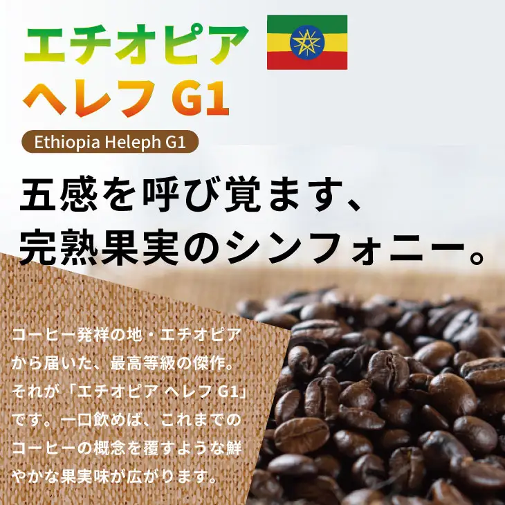 自家焙煎 コーヒー 豆 2種セット コロンビア×80g、エチオピア×80g （ロースト豆）コーヒー A060-017