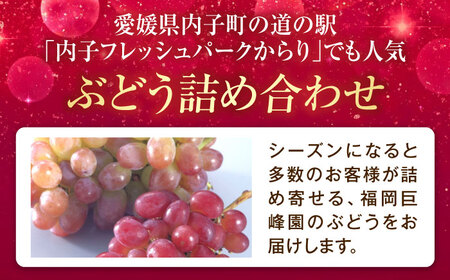 【先行予約】厳選ぶどう詰め合わせ（種無し） 約2kg 3-5房入 BKAD041 ぶどう