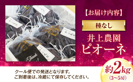 【先行予約】ピオーネ（種無し） 約2kg 3-5房入 BKAD042 ぶどう