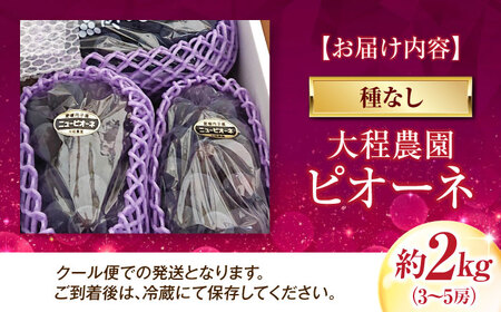 【先行予約】ピオーネ（種無し） 約2kg 3-5房入 BKAD044 ぶどう