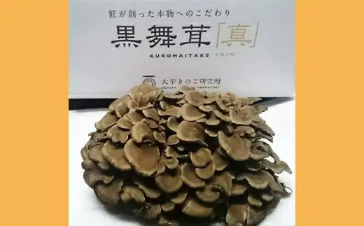 魚沼黒舞茸のピザ３枚セット | ピザ