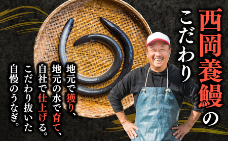 【 うなぎの蒲焼き 】 うなぎの蒲焼 定期便 計20尾 ( 220g × 4尾 × 5回 )