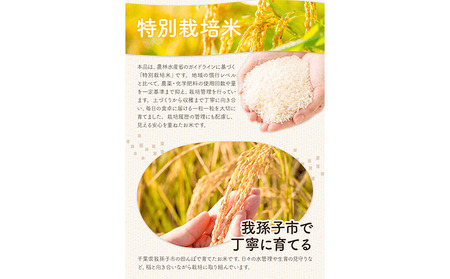 令和7年産 特別栽培米 白米 コシヒカリ 10kg(5kg×2) 
