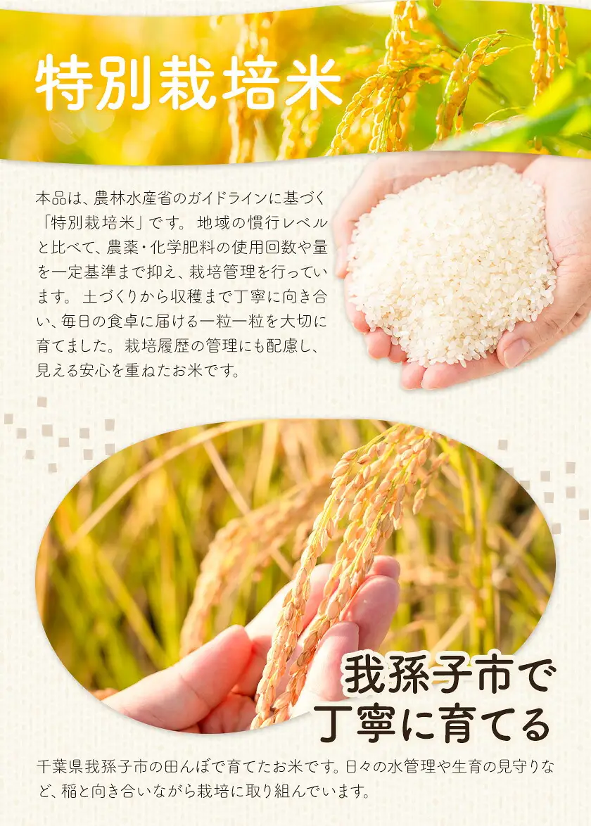 令和7年産 特別栽培米 白米 粒すけ 10kg(5kg×2) 
