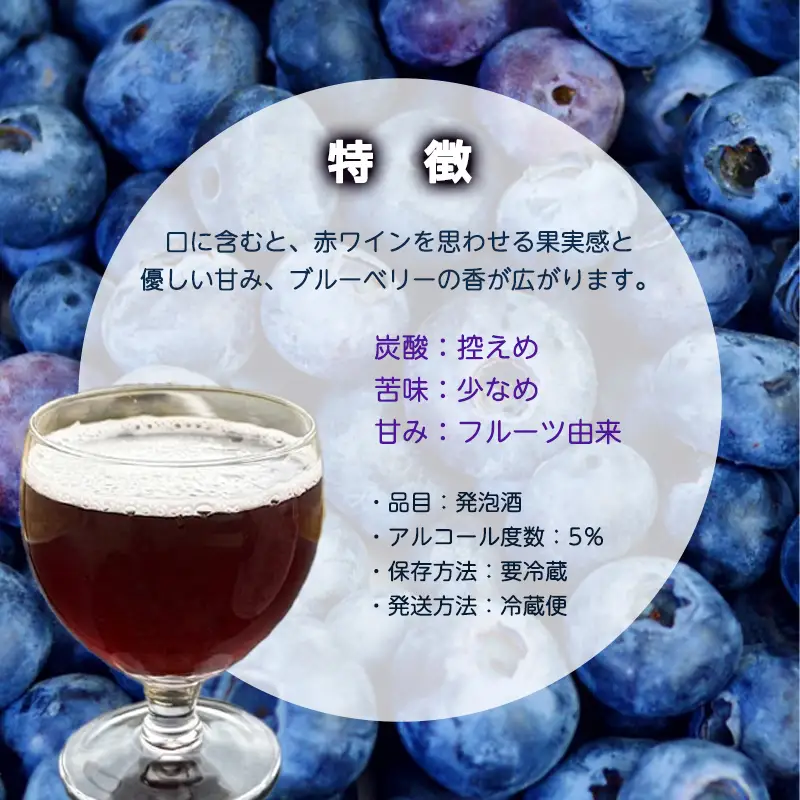 ブルーベリーミライエール 330ml×3本 |  地ビール クラフトビール