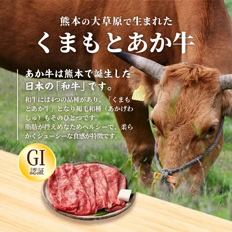 【定期便6ヶ月】【特選焼肉用500g】くまもとあか牛〈GI認証〉- お肉 牛肉 和牛 焼肉 国産 九州産 熊本県産
