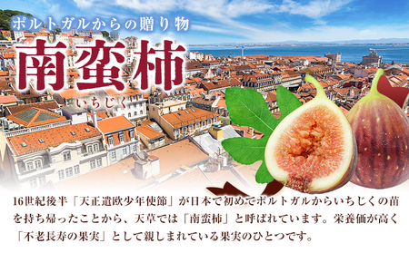 ドライいちじく 40g × 1袋 いちじく 無花果
