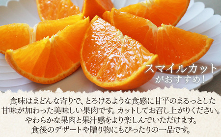 ＜愛媛県西予市産 愛媛ぷりんせす ご家庭用 合計約3kg＞果物 フルーツ 柑橘類 みかん 蜜柑 ミカン オレンジ プリンセス 訳あり わけあり 甘い 交配種 特産品 宇都宮物産 愛媛県 西予市【常温】『2026年3月～4月上旬迄に順次出荷予定』UUB0095