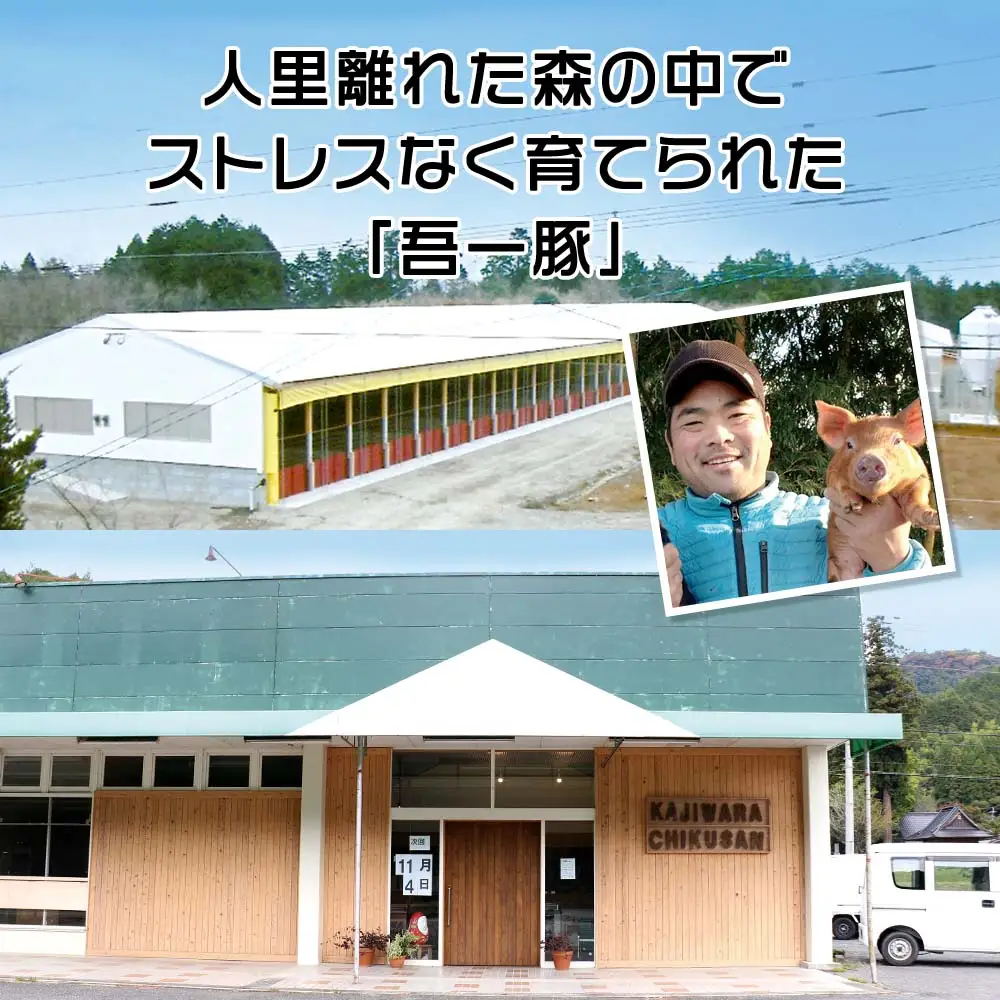 冷凍 ハンバーグ 生8個入り ( 2パック ) | お肉 肉 豚肉 白豚 お惣菜 惣菜 おかず 簡単調理 国産 九州産 大分県産 大分県 中津市