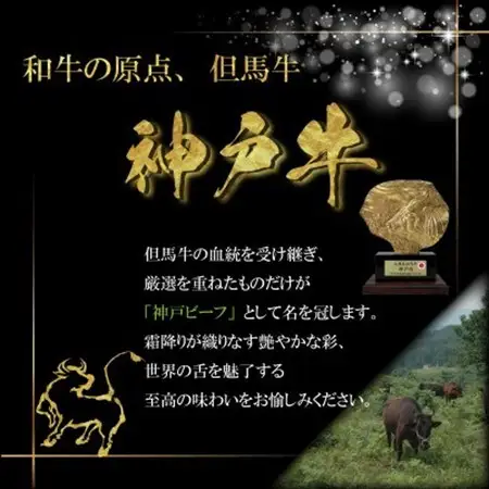 訳あり 神戸牛 サイコロステーキ(おまかせ)500g INGWDS3【配送不可地域：離島】【1682078】