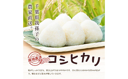 令和7年産 コシヒカリ 5kg ＆ 旬の野菜 10品