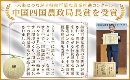 【２回定期便】マスクメロン（贈答用） 1玉入 青肉品種 高級メロン！ ／ マスクメロン 果物 フルーツ ギフト 農家直送 Wtn-0058