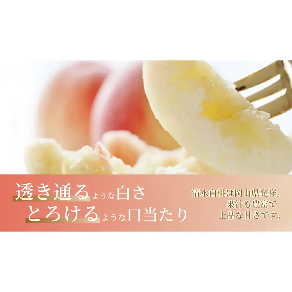 《2027年発送》岡山県産 清水白桃 1.5kg 5～7玉