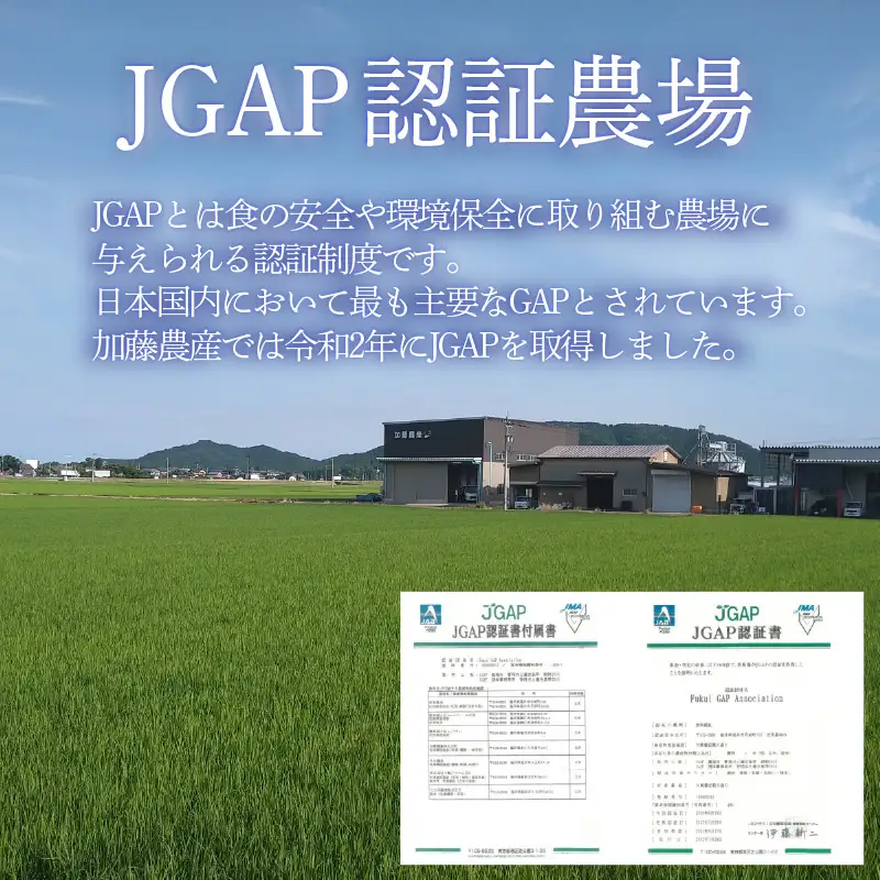 【先行予約】【令和8年産 新米】コシヒカリ 精米 10kg（5kg×2袋）JGAP認証米 / 米 10キロ 福井県産 ブランド米 一等米 ご飯 白米 お米 コメ 新鮮 小分け ※2026年10月上旬より順次発送 [aw094-b003]