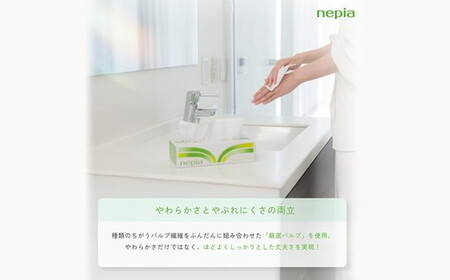 【定期便】2回発送 選べる発送間隔 ネピアティシュ180組 5箱×12パック | 日用品 消耗品 必需品 ティッシュ ボックスティッシュ 箱ティッシュ ストック 花粉症 花粉 防災 備蓄 まとめ買い 全国 発送 一人暮らし nepia ネピア プレミアム