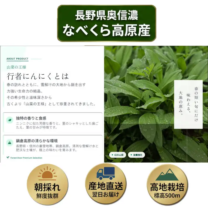 【令和9年産先行予約】行者にんにく 忍 1kg入り　1箱(140枚～150枚)《出荷時期：2027年5月中旬頃〜》株式会社ForestDoor (Ce-013)