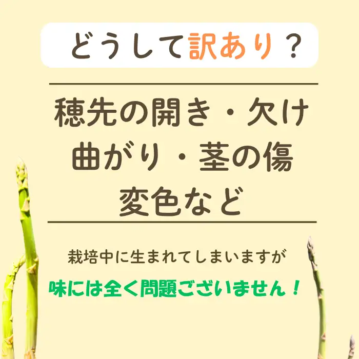 【令和9年産先行予約】＼訳あり／アスパラガス みゆきアスペルジュ サイズ混合 1kg入り(22〜30本)《出荷時期：2027年5月中旬頃〜》株式会社ForestDoor(Ce-010)