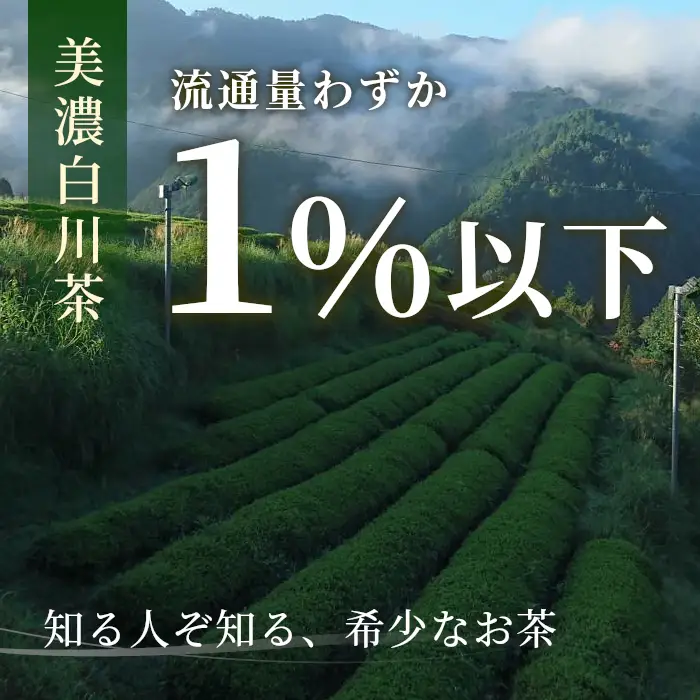農薬不使用！浅炒りほうじ茶 150g 常磐園 ほうじ茶 浅炒り 日本茶 緑茶 煎茶 茶葉 お茶 一番茶 白川茶 美濃白川茶 農薬不使用栽培茶 春摘み 大容量 岐阜県 東白川村 お取り寄せ 贈答用 母の日