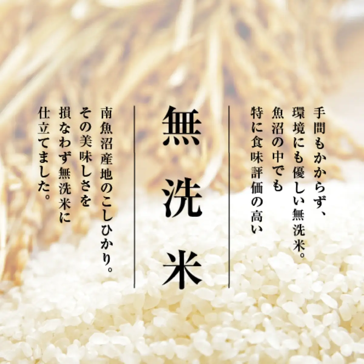【令和7年産　頒布会】南魚沼産こしひかり　無洗米（5kg×全3回）
