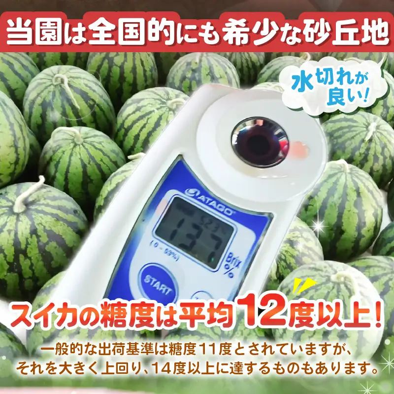 大玉スイカ 8kgサイズ 1玉 2027年6月中旬以降順次発送予定 スイカ すいか フルーツ [A-21805]