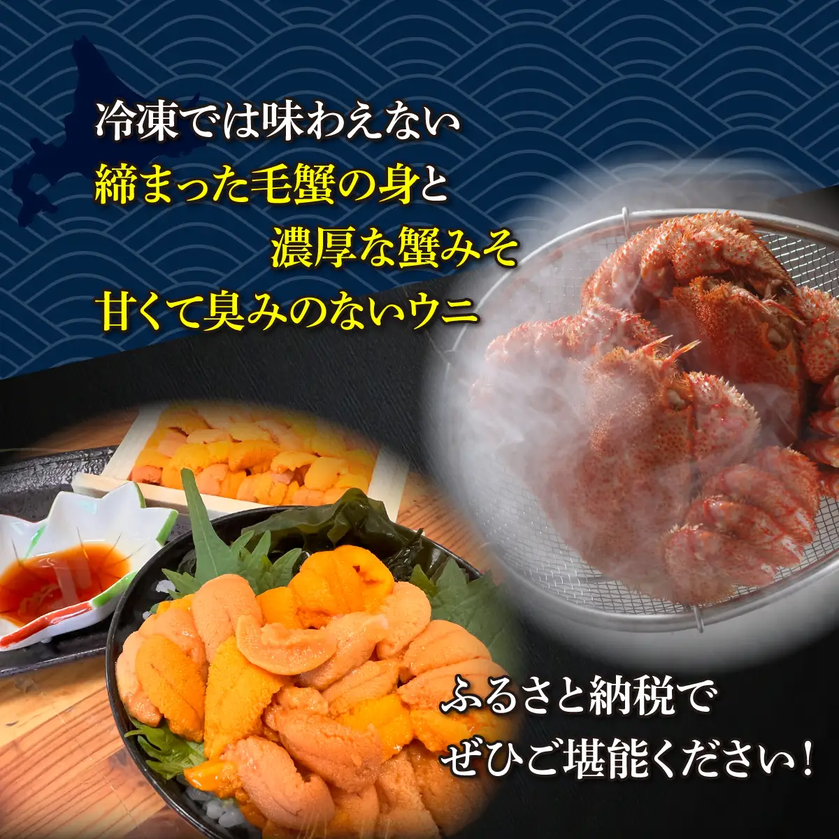 【先行予約】網走流氷海明けの活〆茹で毛蟹2尾で約1kgと網走産バフンウニ1折50gセット冷蔵便届け【2027年6月～順次発送開始予定】 ABAO134