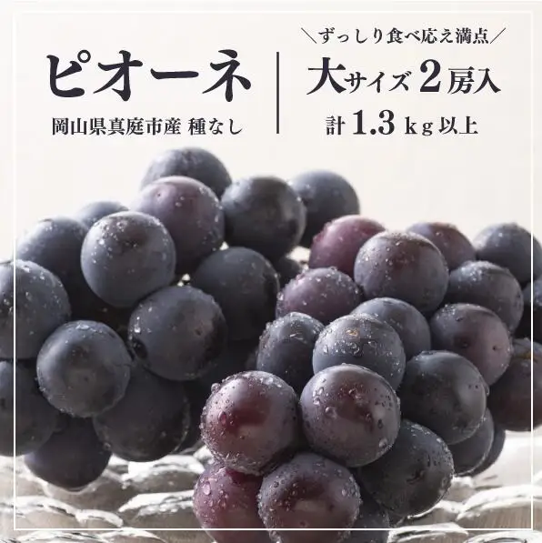 ご家庭用 特大ピオーネ2房 計1.3kg～ 種無し ピオーネ 【KF-B064-01】