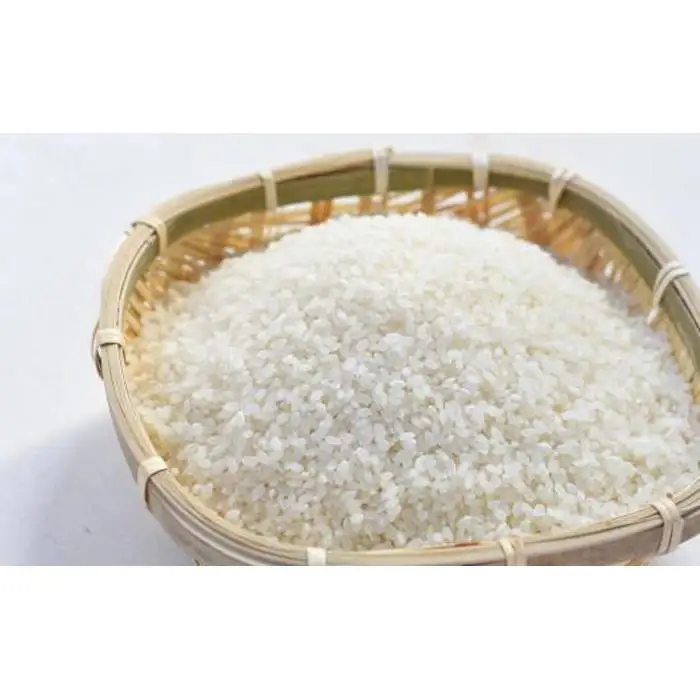 【定期便】【令和７年】南魚沼産コシヒカリ【５kg×全６回】 | コシヒカリ