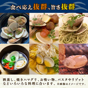 冷凍はまぐり2kg 【 はまぐり 】
