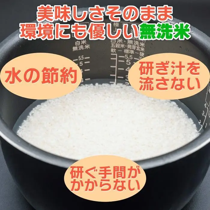【JAみなみ魚沼定期便】南魚沼産こしひかり無洗米（5kg×全6回）｜無洗米