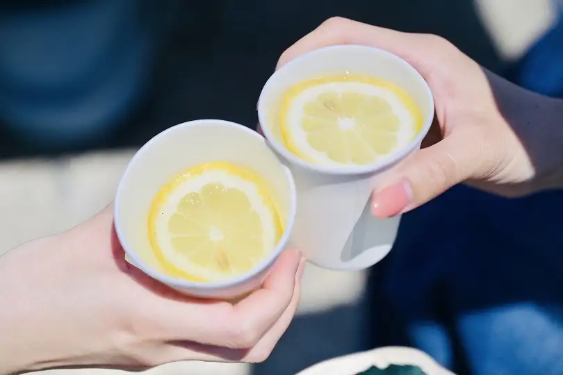 あおひげレモン2kgセット