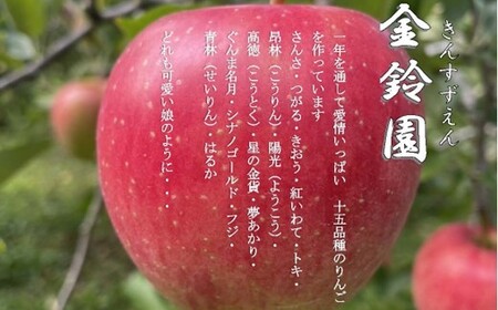 ＼ 予約受付 26年11月下旬 発送開始予定 ／【 北上市産 りんご 】金鈴園 はるか  [ 家庭用 ] 5キロ (約13～18玉) 林檎 リンゴ 5kg 国産 産地直送 フルーツ 果物 岩手県 北上市 D0445 りんご 訳あり