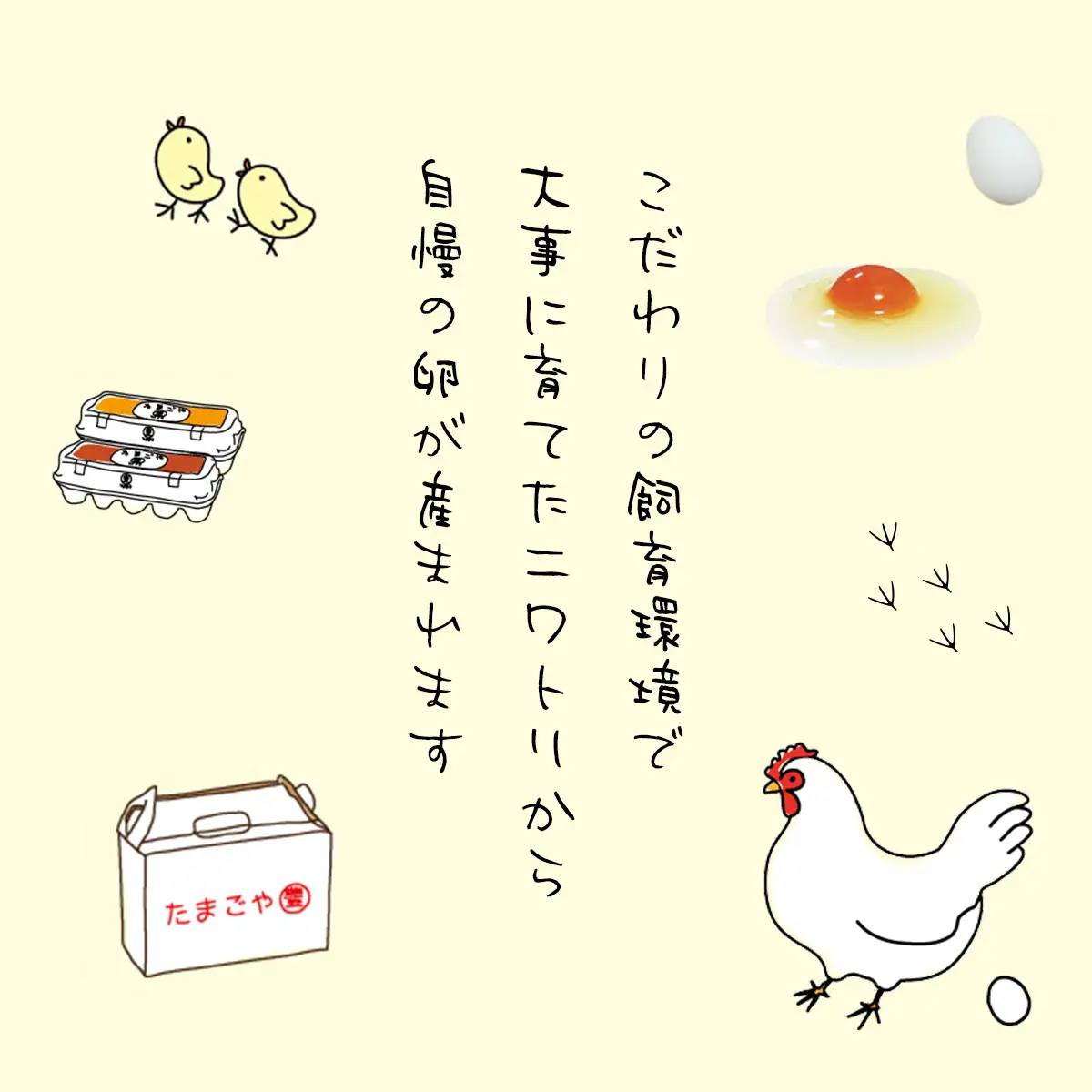 4ヶ月定期便 たまごやとよまる 煌黄30個 SMAS019 千葉県 山武市 卵 たまご タマゴ