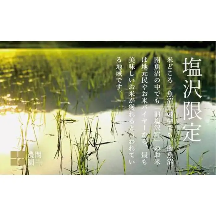 【定期便令和7年】南魚沼コシヒカリ５kg×全6回　旧塩沢地区限定米 | コシヒカリ