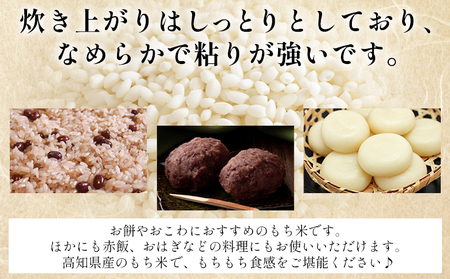 もち米(ミヤタマモチ) 高知県産 4kg 先行受付 もち米 at-0070