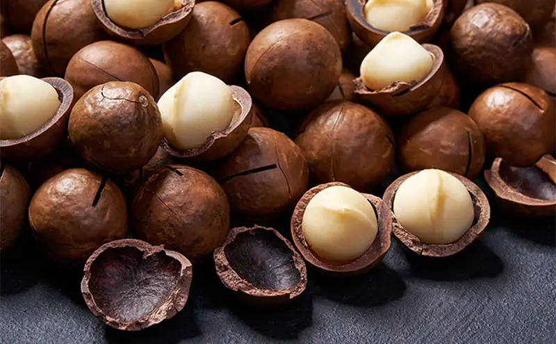 MAISON CACAO メゾンカカオ アロマ生チョコレート 2種セット（16粒×2箱）70％カカオ 海塩 マカダミア ギフトボックス入 冷凍配送 神奈川県 茅ヶ崎市