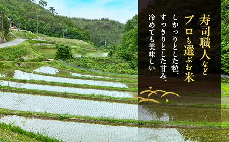 無洗米 先行受付 ホタル舞う里山の棚田米 精米 2kg 朝日 2kg×1袋 米 無洗米