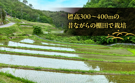 棚田米 品種 お任せ 無洗米 岡山県産 棚田米 【 精米 10kg(2kg×5袋)】【令和7年産】
