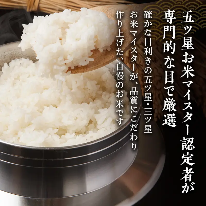 【最短3日配送】新潟県産 コシヒカリ  4kg 新潟県 新潟市産 令和7年産 お米 精米 米 ご飯 送料無料